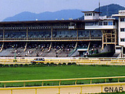 Arao Racecourse
