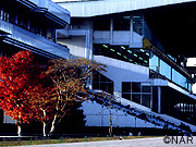 Mizusawa Racecourse