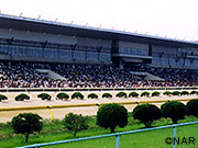 Saga Racecourse