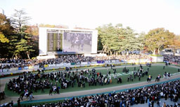 Paddock