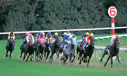 Race