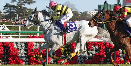 Nakayama Daisyogai