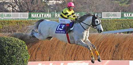 Nakayama Daisyogai