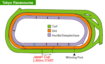 Tokyo Racecourse