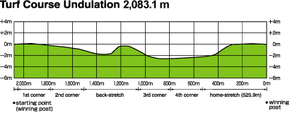Turf Course Undulation