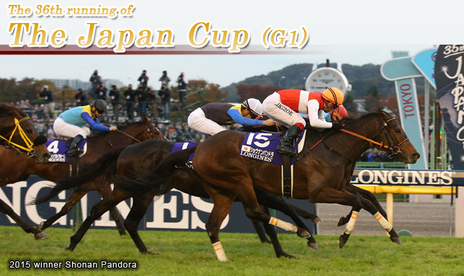Japan Cup