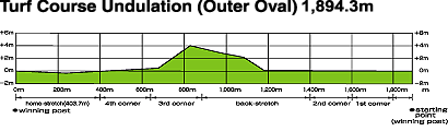 Turf Course Undulation