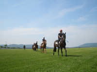 Bloodhorse Training Center