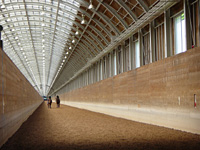 Bloodhorse Training Center