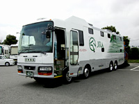Japan  Horse Transport