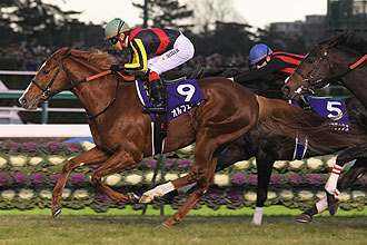 BUENA VISTA (JPN)