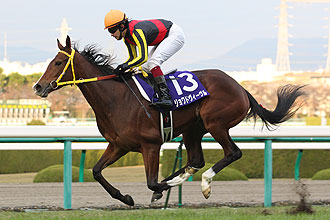 REVE D' ESSOR (JPN)