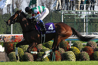 VICTOIRE PISA (JPN)