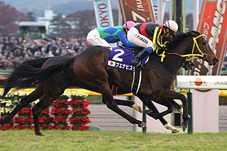 NAKAYAMA FESTA (JPN)