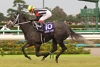 KINSHASA NO KISEKI (AUS)