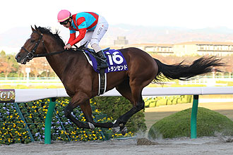 ESPOIR CITY (JPN)