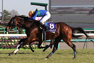 BASHI KEN (JPN)