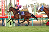 Arima Kinen (The Grand Prix) (JPN G1)
