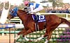 Arima Kinen (The Grand Prix) (JPN G1)