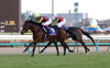 Arima Kinen (The Grand Prix) (JPN G1)