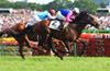 Tokyo Yushun (Japanese Derby)(JPN G1)