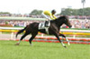 Tokyo Yushun (Japanese Derby)