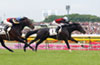Tokyo Yushun (Japanese Derby)