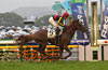 Tokyo Yushun (Japanese Derby) (G1)