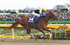 February Stakes (G1)