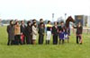 February Stakes (G1)