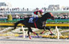 February Stakes (G1)