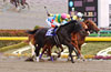 February Stakes (G1)