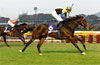 Japan Cup (International Invitational) (G1)