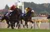 Japan Cup (G1) (International Invitational)
