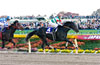 Japan Cup Dirt (International Invitational) (JPN G1)