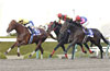 Japan Cup Dirt (G1) (International Invitational)