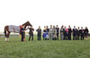 Japan Cup Dirt (G1) (International Invitational)