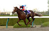 Japan Cup Dirt (G1) (International Invitational)