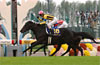 Kikuka Sho (Japanese St. Leger)