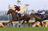 Kikuka Sho (Japanese St. Leger)