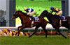 Mile Championship (G1)