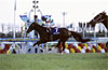 Mile Championship (G1)
