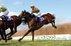 Nakayama Grand Jump (International Invitational) (J-G1)
