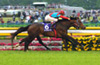 NHK Mile Cup
