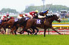 NHK Mile Cup