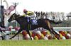 Queen Elizabeth II Commemorative Cup (G1)