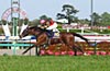 Satsuki Sho (Japanese 2000 Guineas)