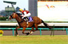 Sprinters Stakes (G1)