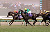 Sprinters Stakes (G1)