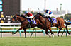 Sprinters Stakes (G1)